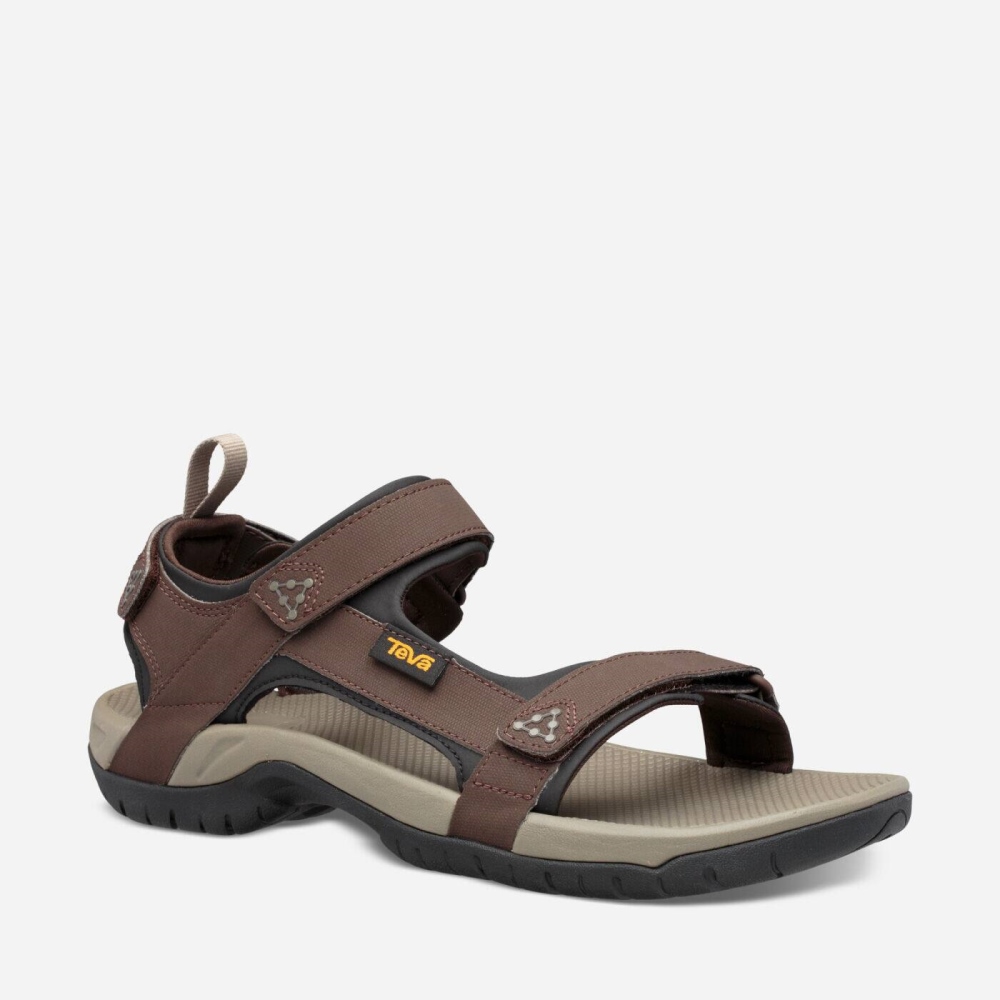 Teva Meacham Men's Chocolate Brown Hiking Sandals CA89182 Canada Sale